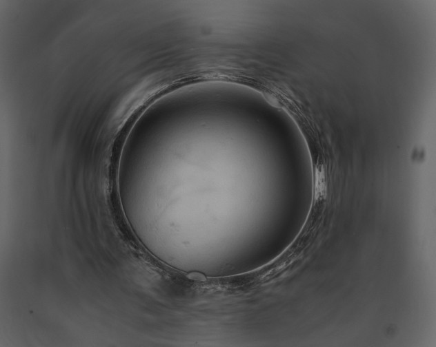 X0000091540291200708241740