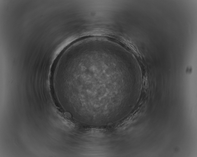 X0000091540292200708241740