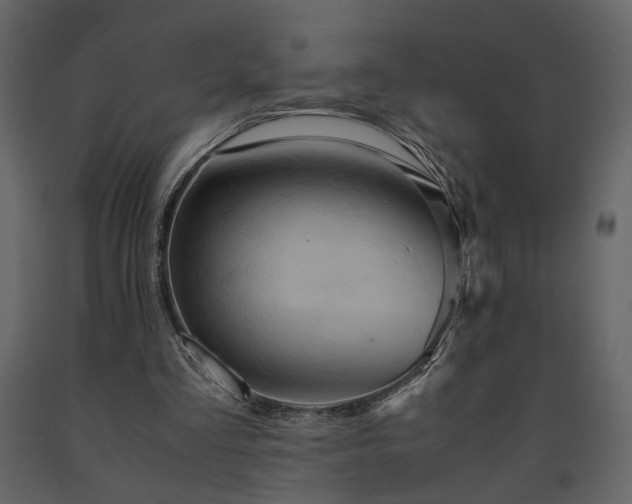 X0000091540293200708241740
