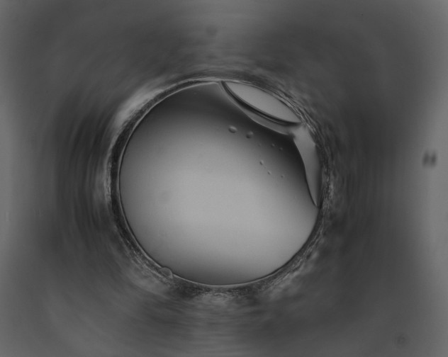 X0000091540294200708241740