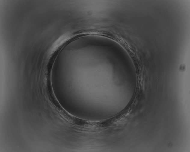 X0000091540295200708241740