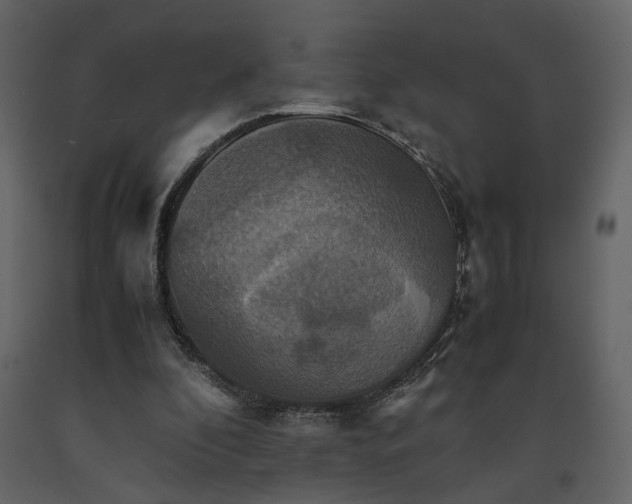 X0000091540296200708241740