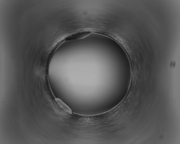 X0000091540297200708241740