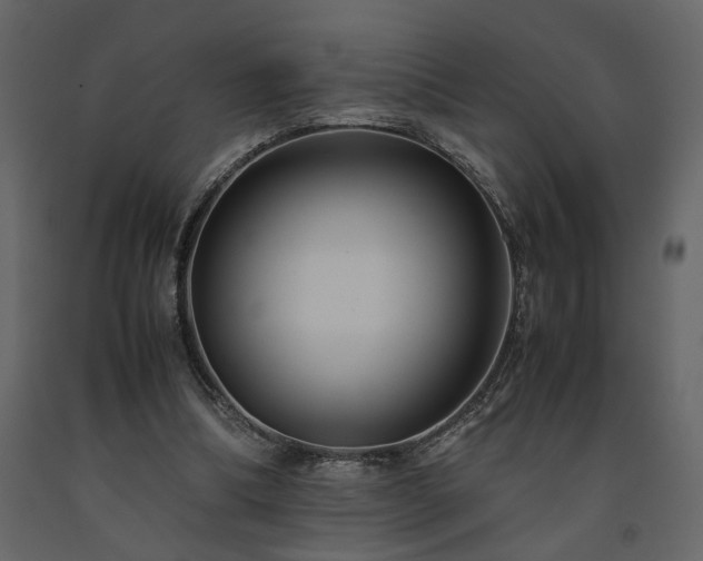 X0000091540298200708241740