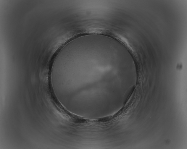 X0000091540299200708241740