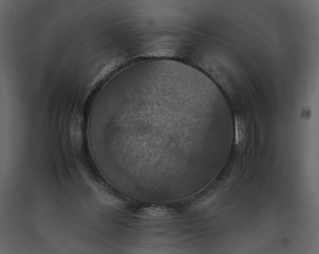 X0000091540300200708241740