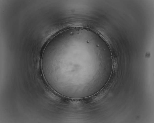 X0000091540301200708241740