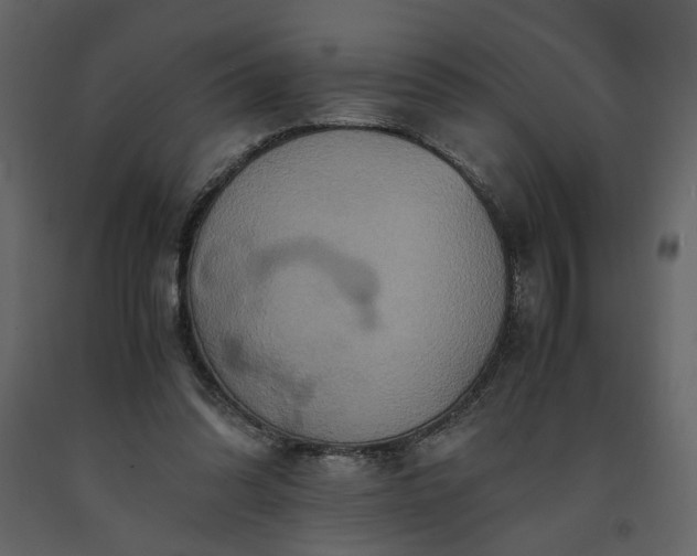 X0000091540302200708241739