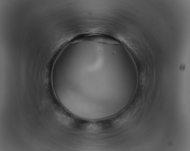 X0000091540303200708241739