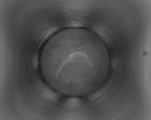 X0000091540304200708241739