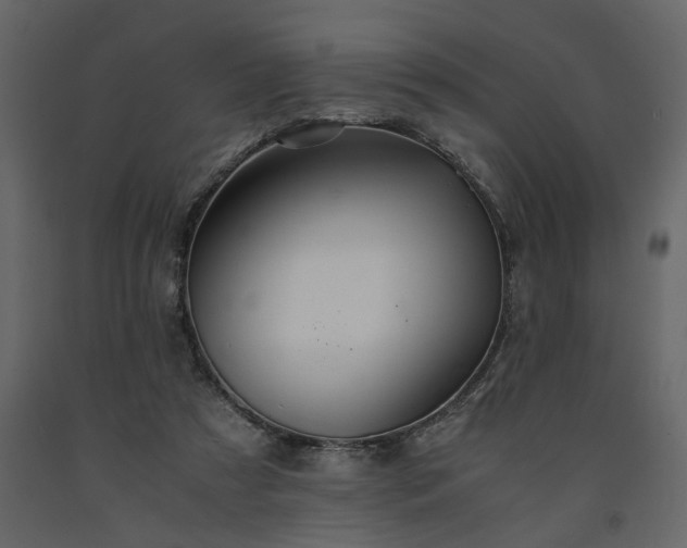 X0000091540305200708241739