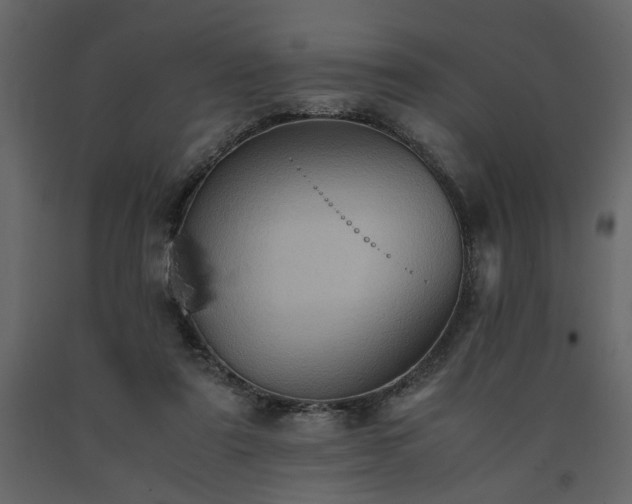 X0000091540307200708241739
