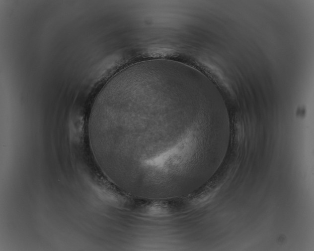 X0000091540308200708241739