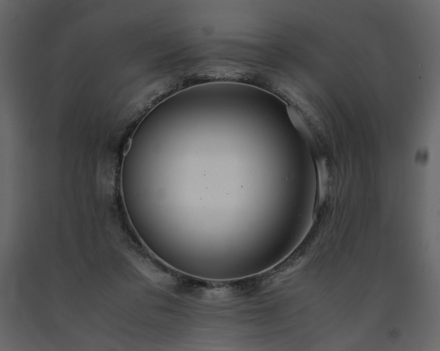 X0000091540309200708241739