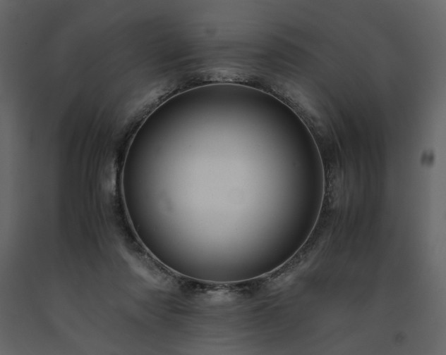 X0000091540310200708241739
