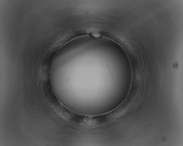 X0000091540311200708241739