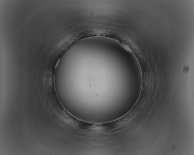 X0000091540313200708241739