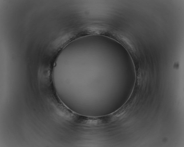 X0000091540314200708241739