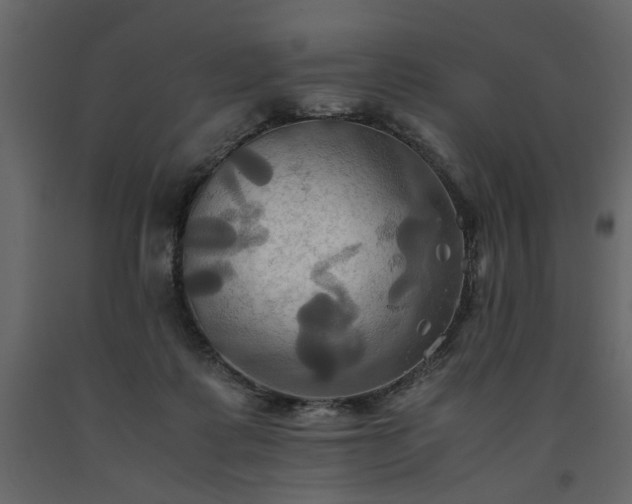 X0000091540315200708241739