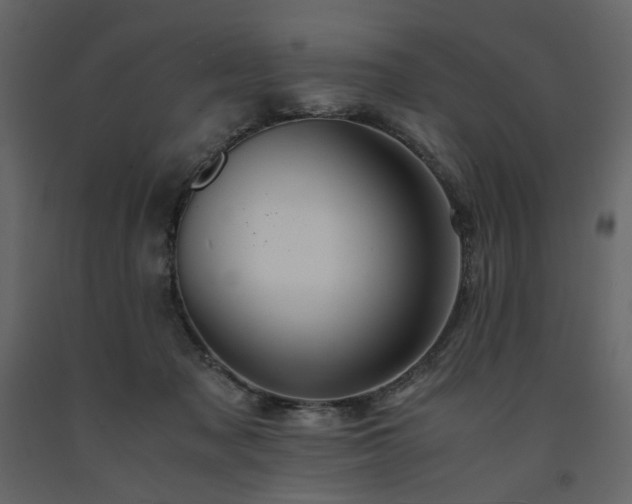 X0000091540317200708241739