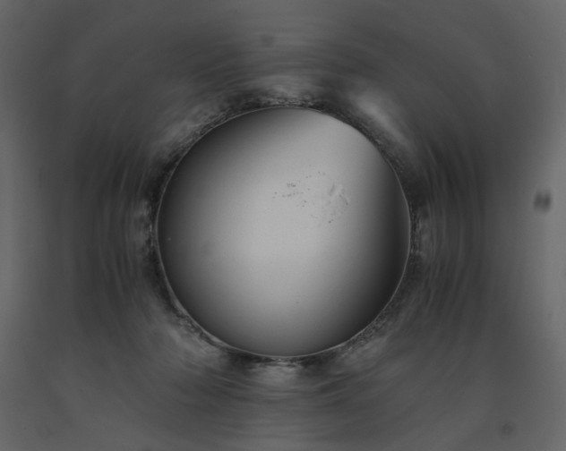 X0000091540318200708241739