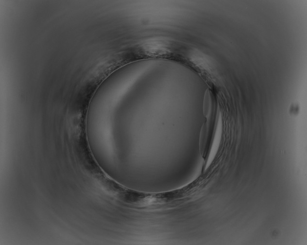X0000091540319200708241739
