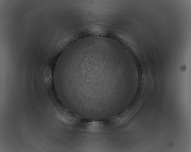 X0000091540320200708241739