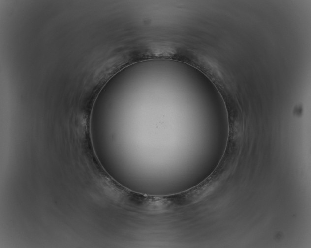 X0000091540321200708241739