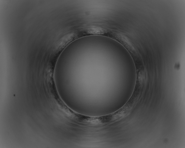X0000091540322200708241739