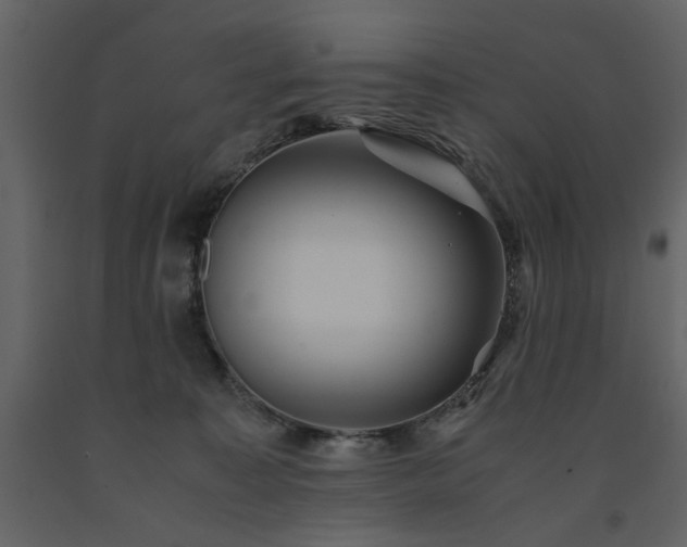 X0000091540323200708241739