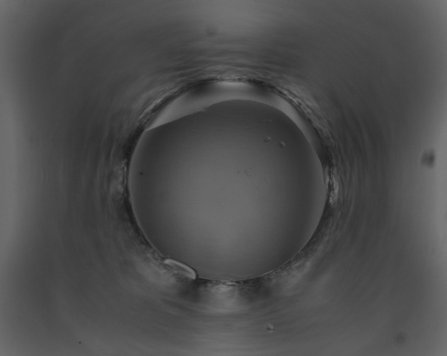 X0000091540325200708241739