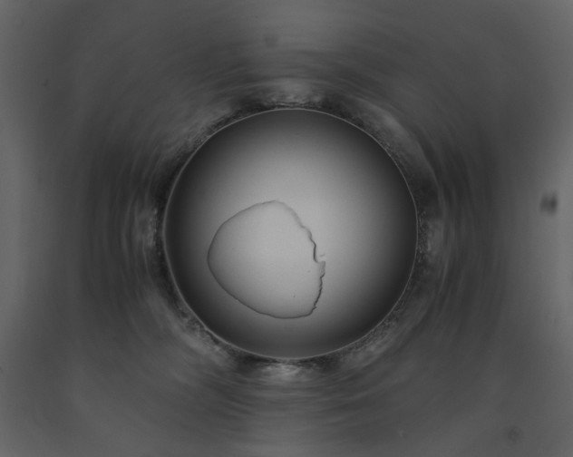 X0000091540326200708241739
