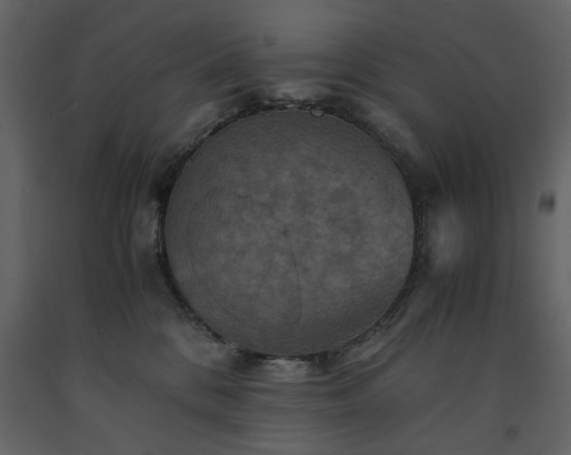 X0000091540328200708241739