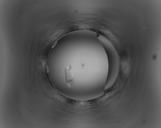 X0000091540329200708241739