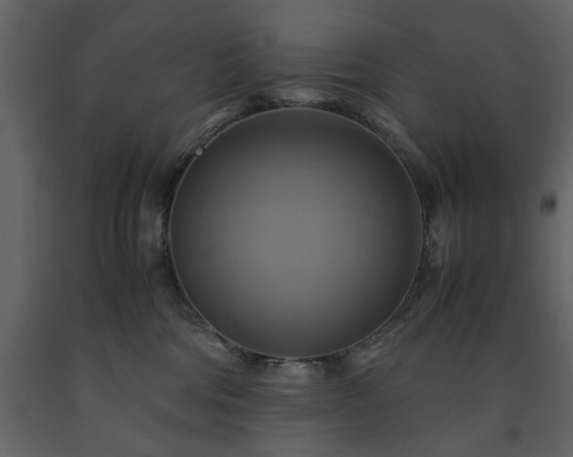 X0000091540330200708241739