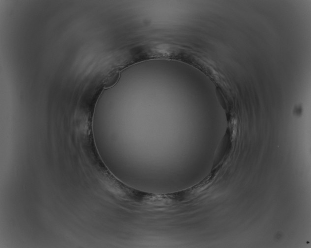 X0000091540331200708241739