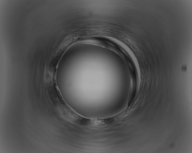X0000091540333200708241739