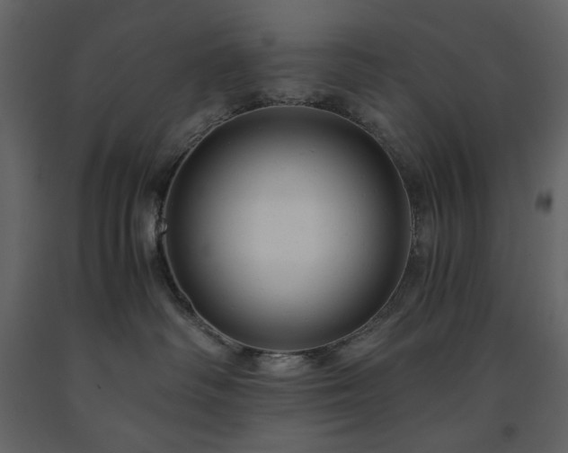 X0000091540334200708241739