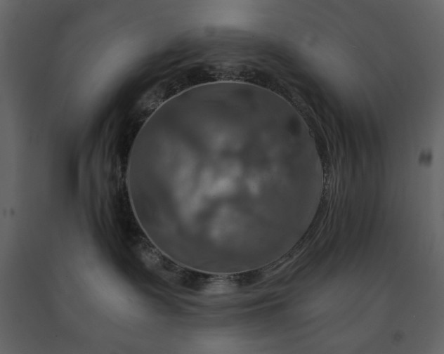 X0000091540335200708241739