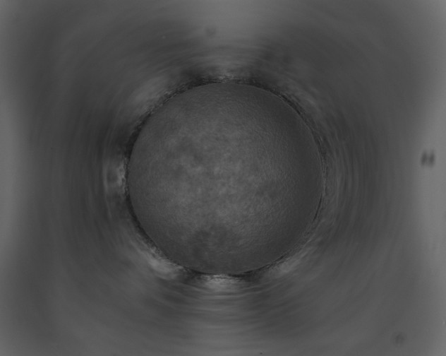 X0000091540336200708241739