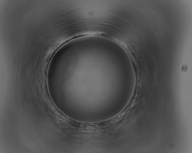 X0000091540337200708241738