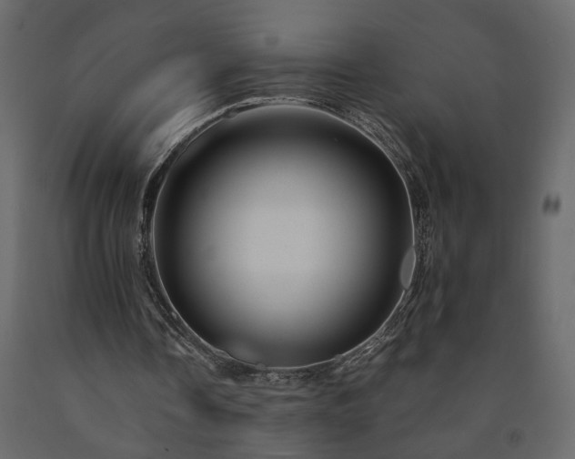 X0000091540338200708241738