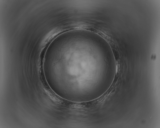 X0000091540339200708241738