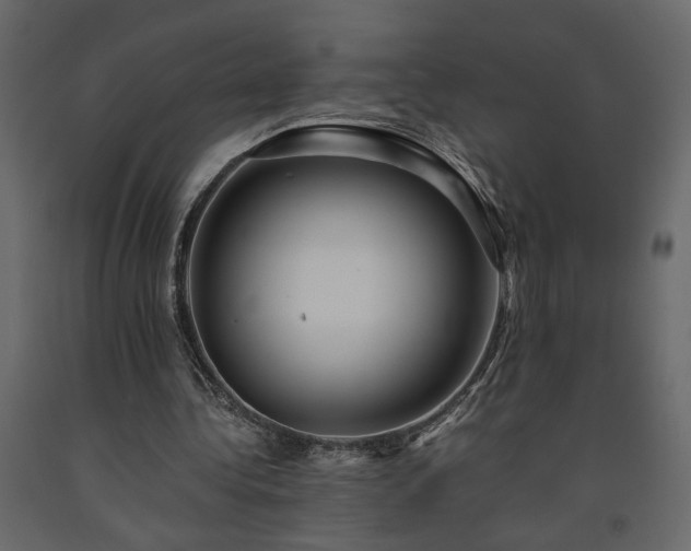 X0000091540340200708241738