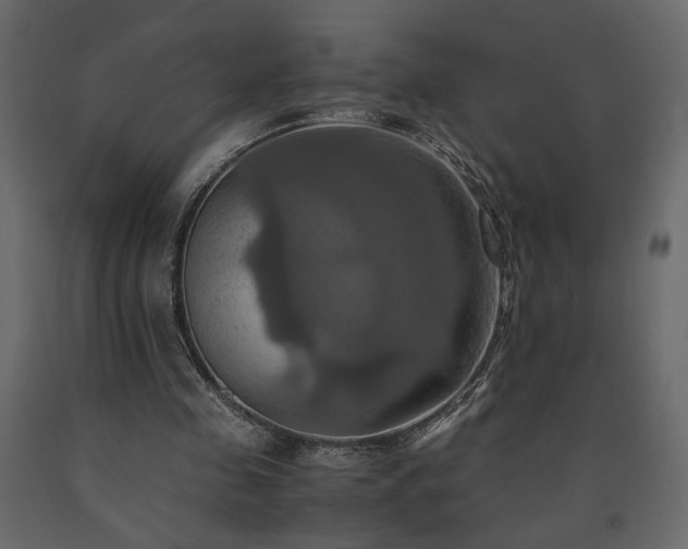 X0000091540341200708241738