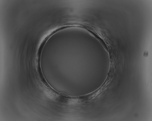 X0000091540342200708241738