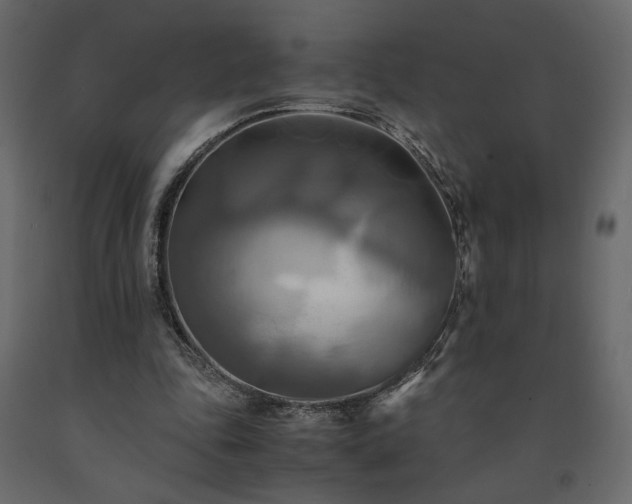 X0000091540343200708241738