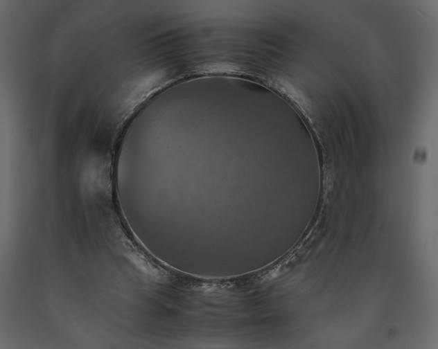 X0000091540345200708241738