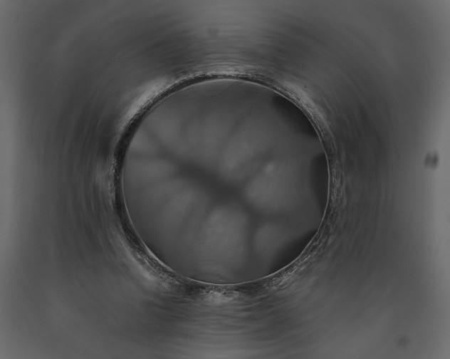 X0000091540346200708241738