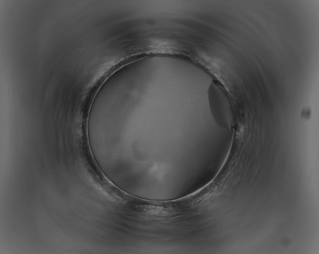 X0000091540347200708241738